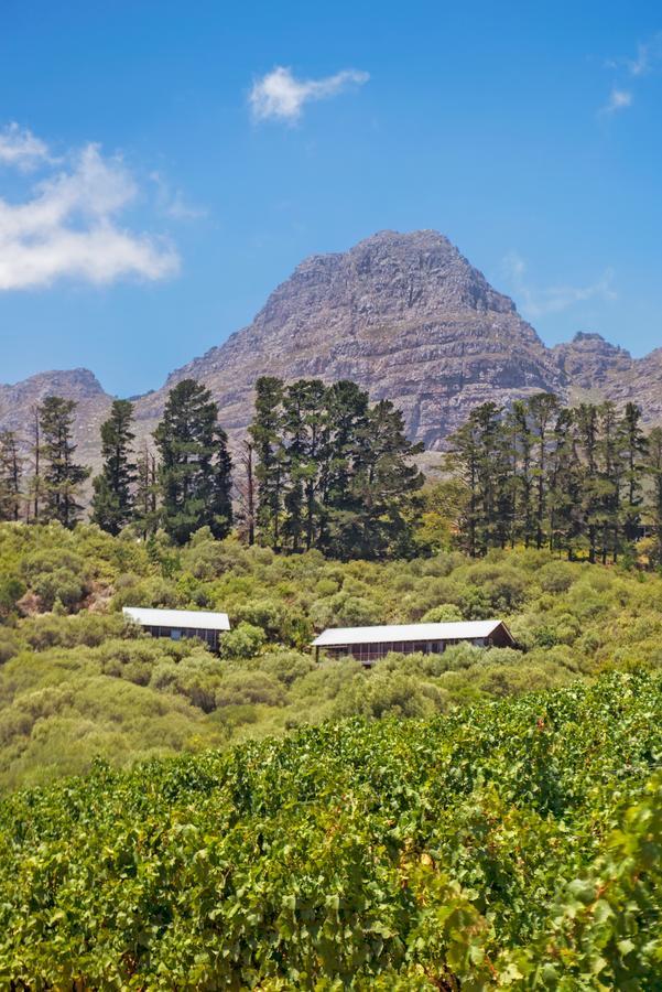 Bush Lodge At Hidden Valley Wines Stellenbosch Extérieur photo