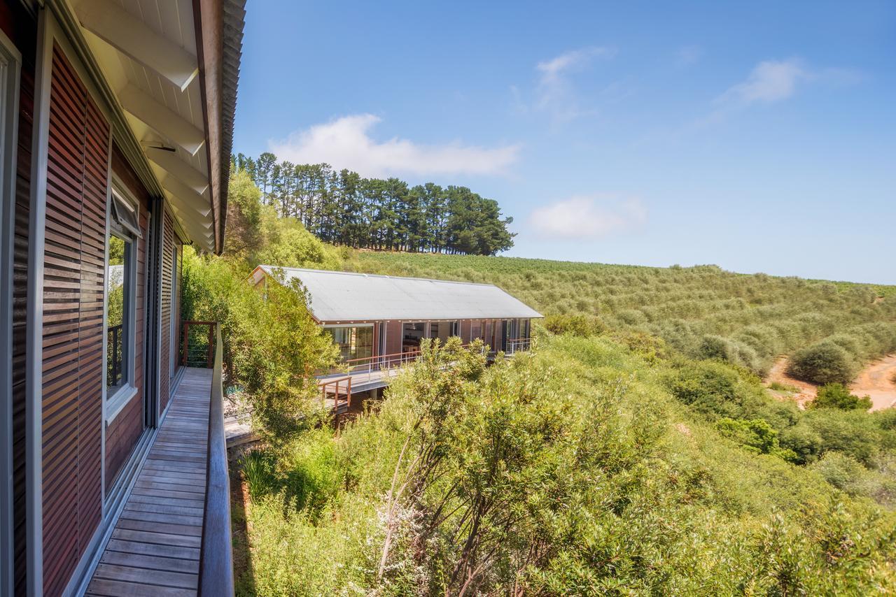 Bush Lodge At Hidden Valley Wines Stellenbosch Extérieur photo